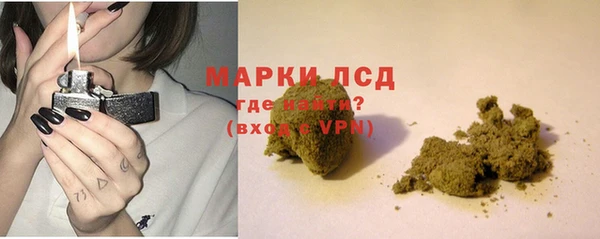 мяу мяу мука Болотное
