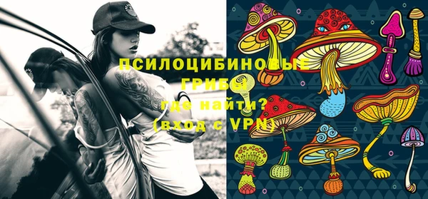 амф Нефтекумск